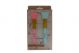 1.99 LOVELY SILICONE FACIAL MASK BRUSH SET