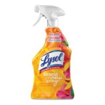 4.99 LYSOL DISINFECTING SPRAY MANGO HIBISCUS 650 ML