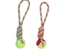 1.99 PET TOY 
