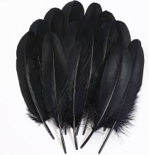 1.99 BLACK FEATERS