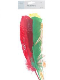 1.99 FEATHERS 5 PC  