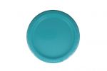 TEAL 9 INCH PLATE  ddd