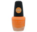 HOTTIE NAIL POLISH  