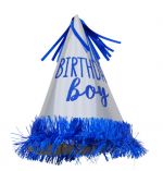 BIRTHDAY BOY HAT  