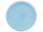 Baby Blue 9 Inch Dinner Plates 16 Count  ddd