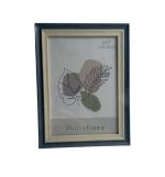 FRAME 5 X 7 INCH