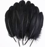 1.99 BLACK FEATERS