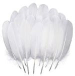 1.99 WHITE FEATERS