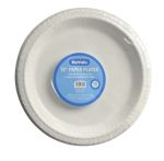 10'' 10PC PAPER PLATE. 