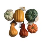 1.99 PUMPKIN
