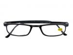 READING GLASSES 1.25  