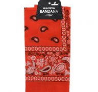 ORANGE BANDANA  