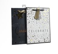 LARGE CELEBRATE GIFT BAG 