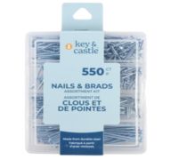 3.99 NAIL AND BRADS 550 COUNT 
