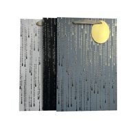 LARGE EVERYDAY GIFT BAG 