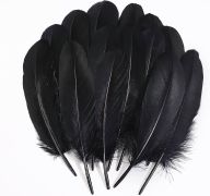 1.99 BLACK FEATERS