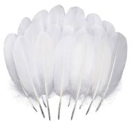 1.99 WHITE FEATERS