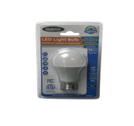2.99 75 WATT LED LIGHTBULB