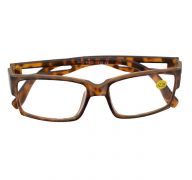 READING GLASSES 2.25  